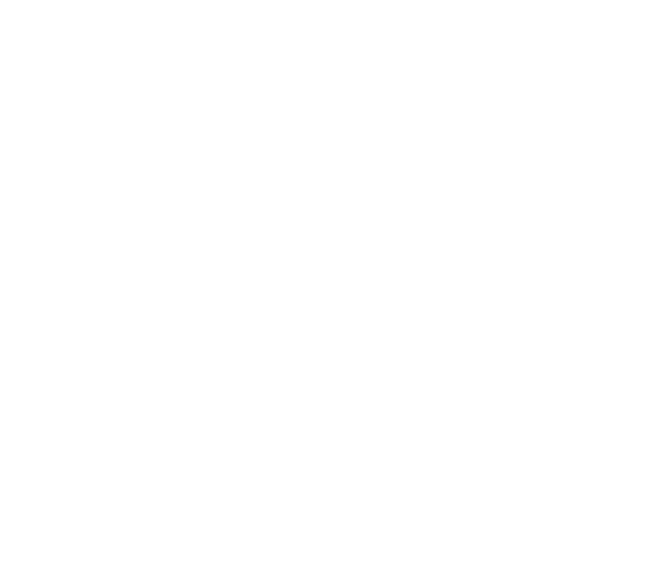 Mountain Training Certification Logo
